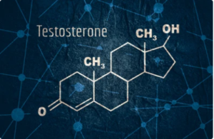 Reposição de testosterona